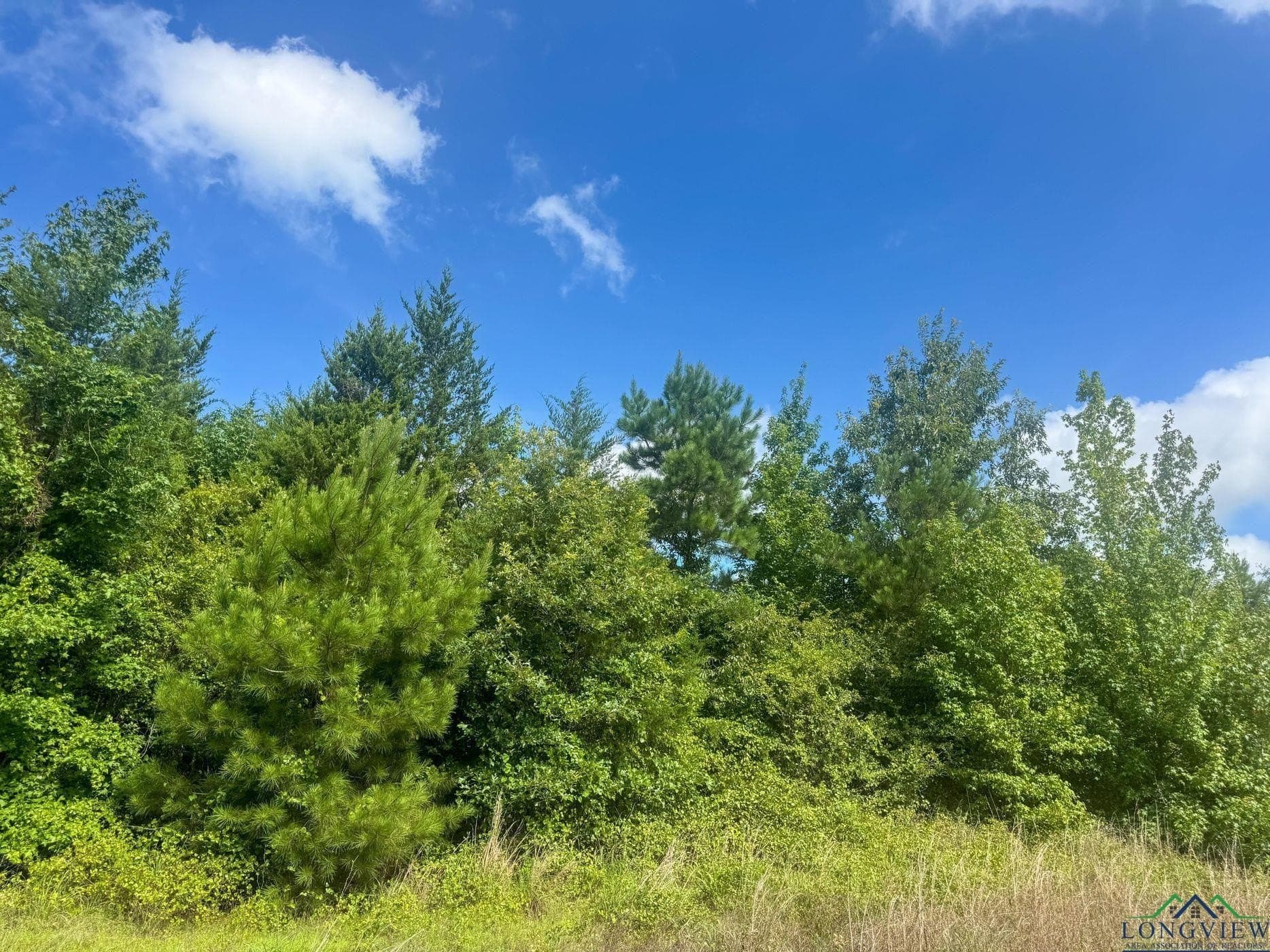 48.67 acres in Cass County - photo 6