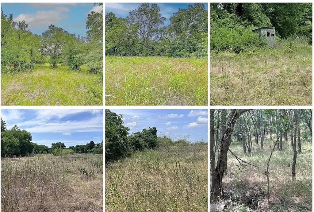 57.77 acres in Hill County - photo 5