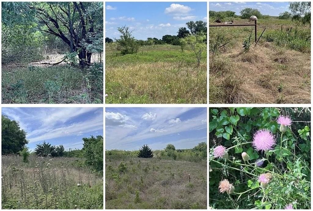 57.77 acres in Hill County - photo 6