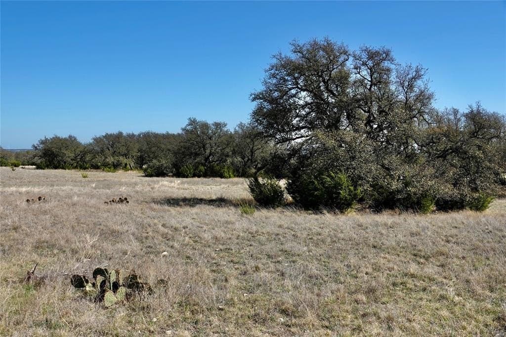 92.44 acres in Mills County - photo 25