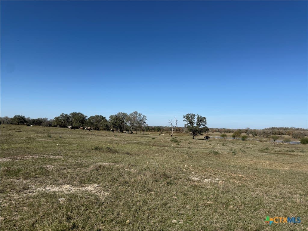 10.01 acres in Gonzales County - photo 5