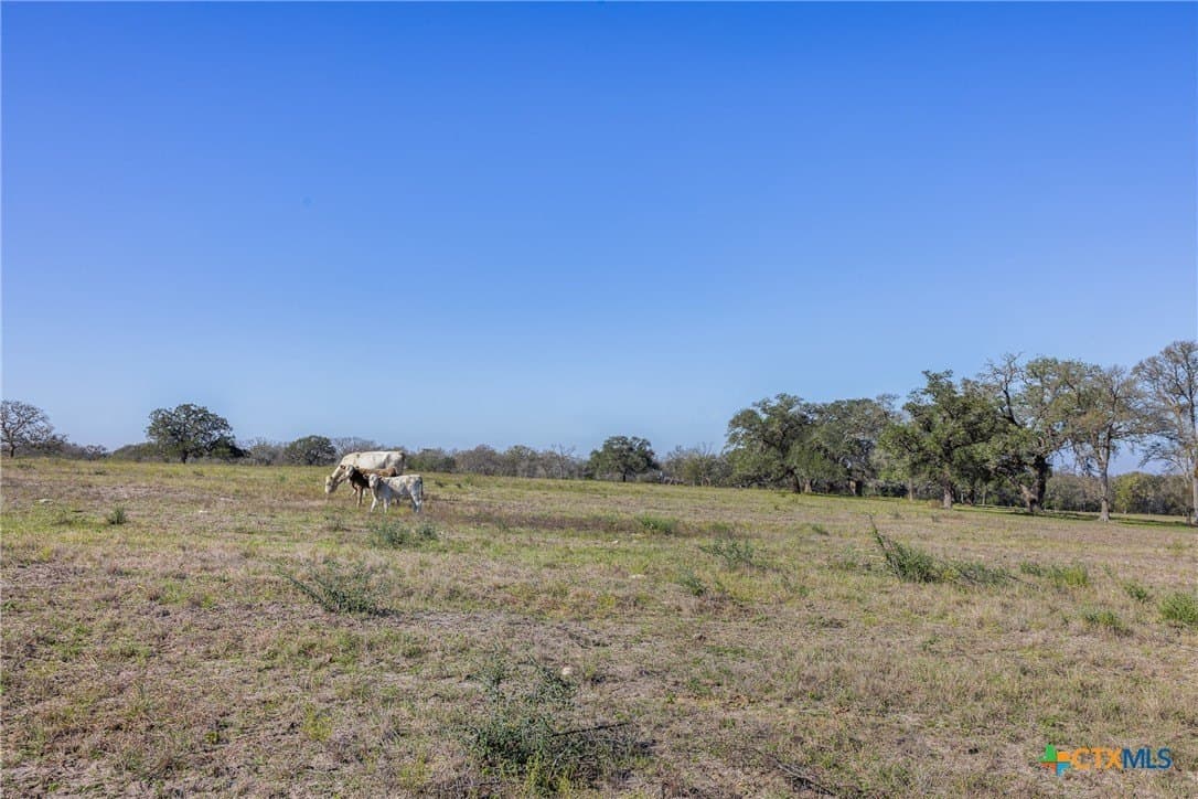 10.01 acres in Gonzales County - photo 9