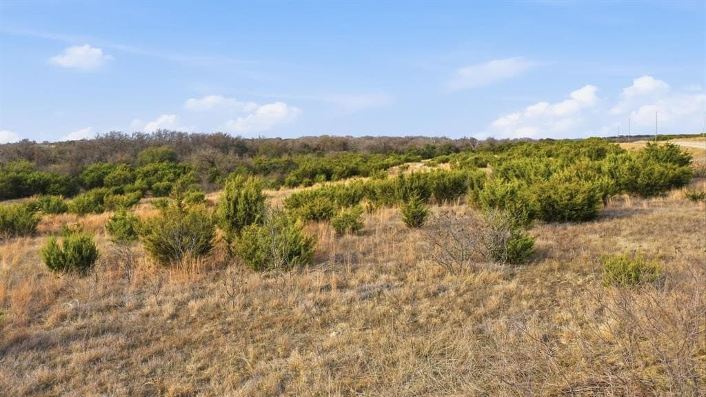 4.45 acres in Erath County - photo 10