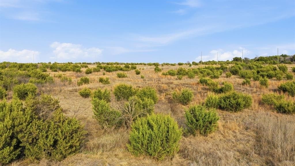 4.45 acres in Erath County - photo 13