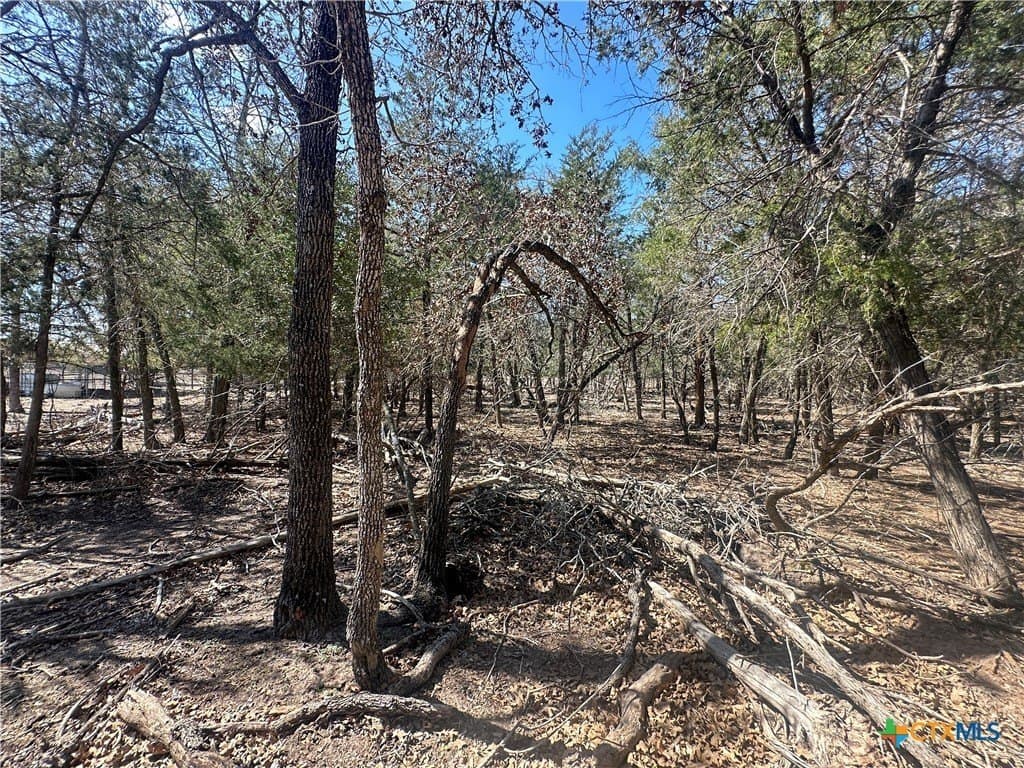 5.5 acres in Fayette County - photo 10