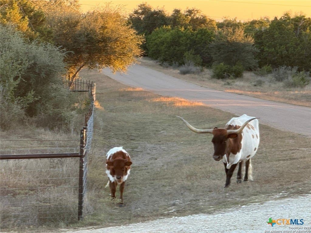 15 acres in Comal County - photo 39