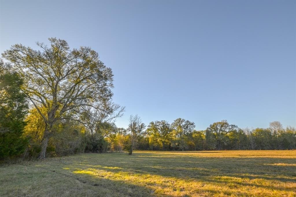 140 acres in Henderson County - photo 39