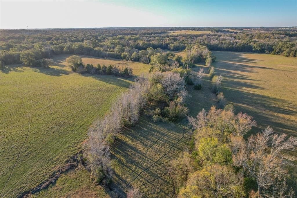 140 acres in Henderson County - photo 5