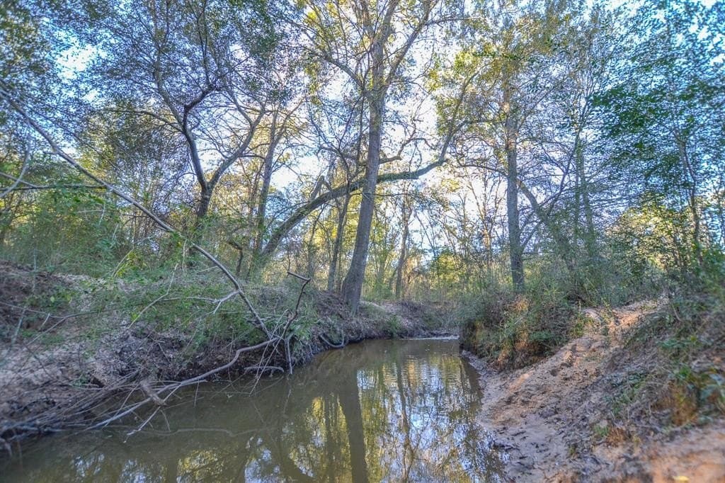 140 acres in Henderson County - photo 34