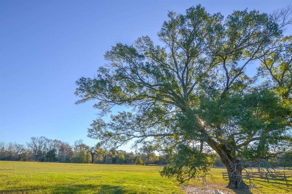 140 acres in Henderson County - photo 29