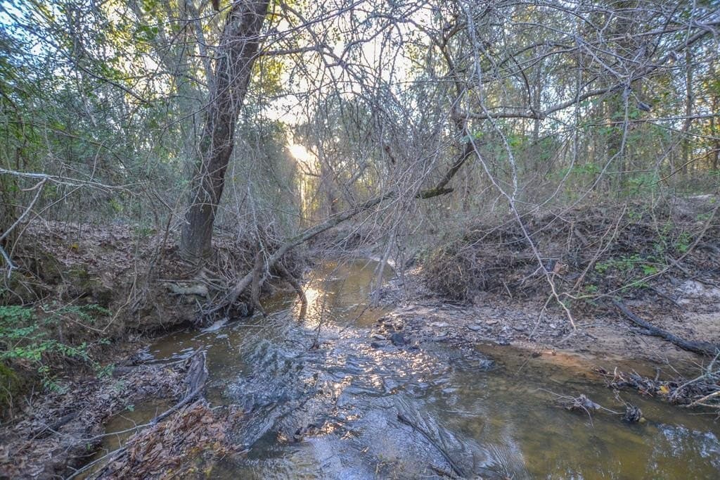 140 acres in Henderson County - photo 33