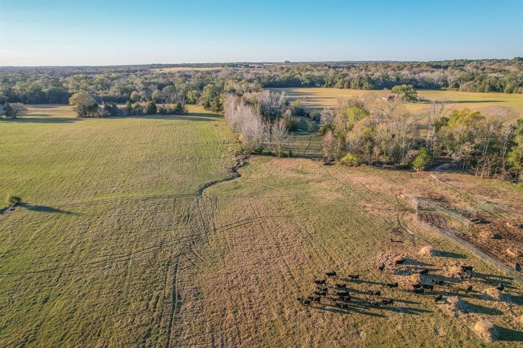 140 acres in Henderson County - photo 6
