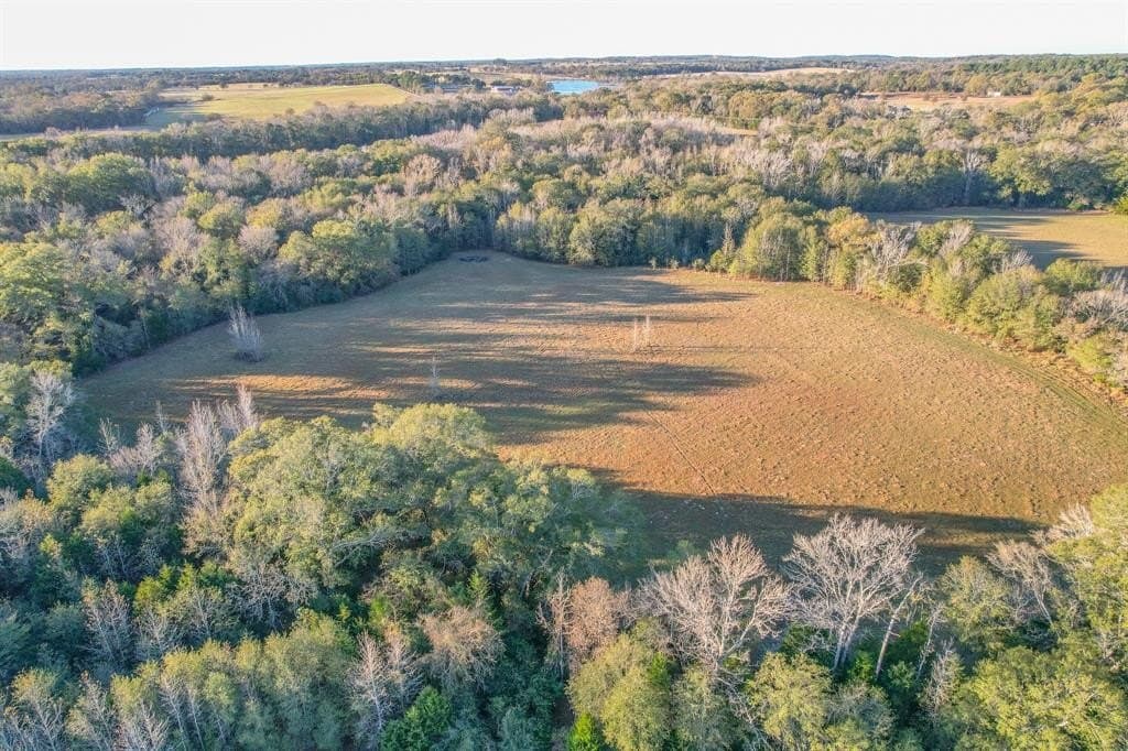 140 acres in Henderson County - photo 9
