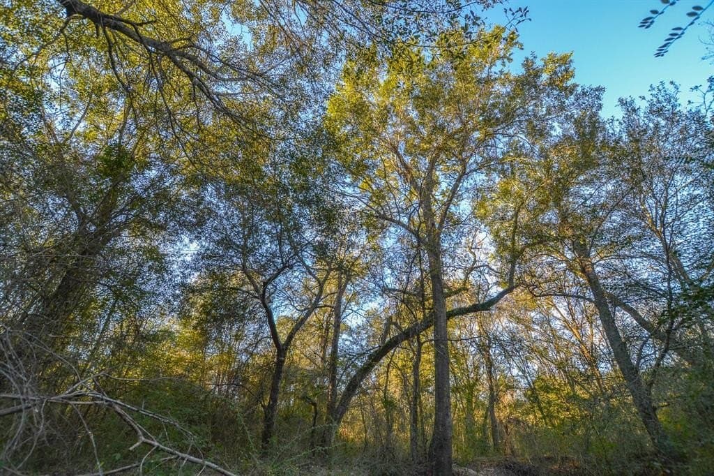 140 acres in Henderson County - photo 35