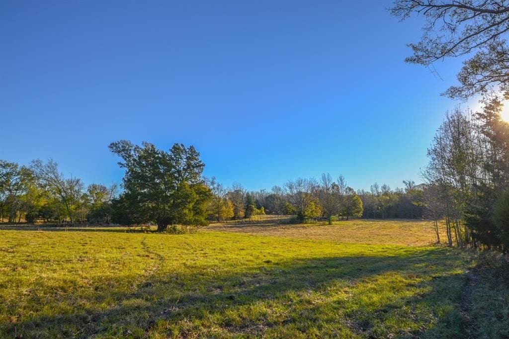 140 acres in Henderson County - photo 38