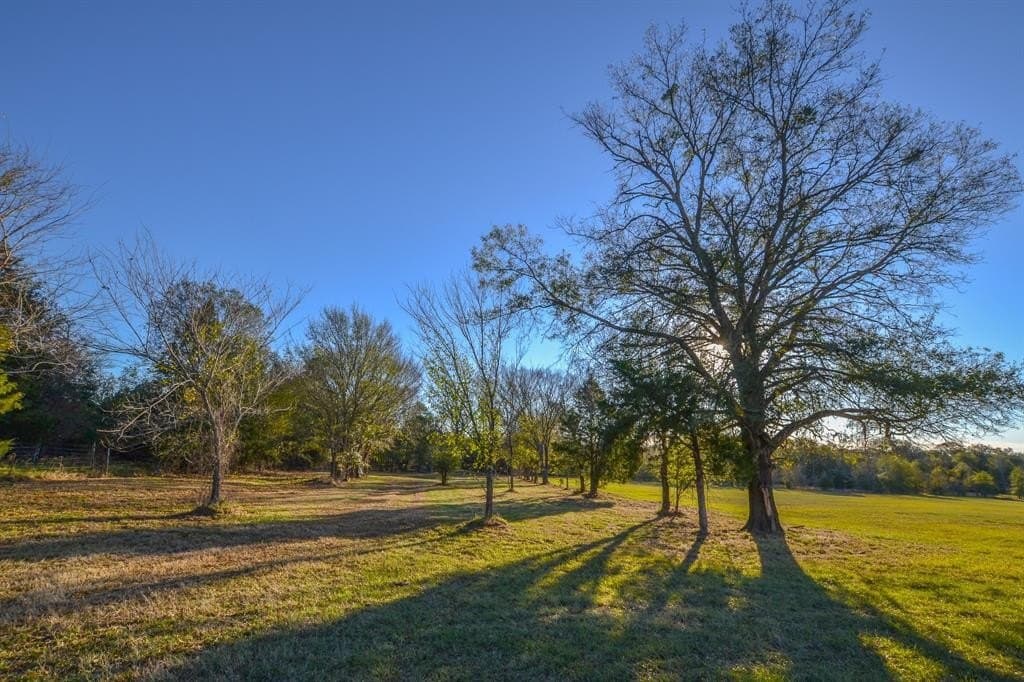 140 acres in Henderson County - photo 31