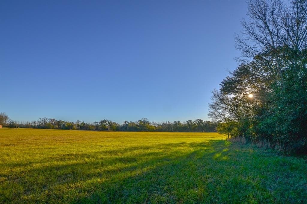 140 acres in Henderson County - photo 40