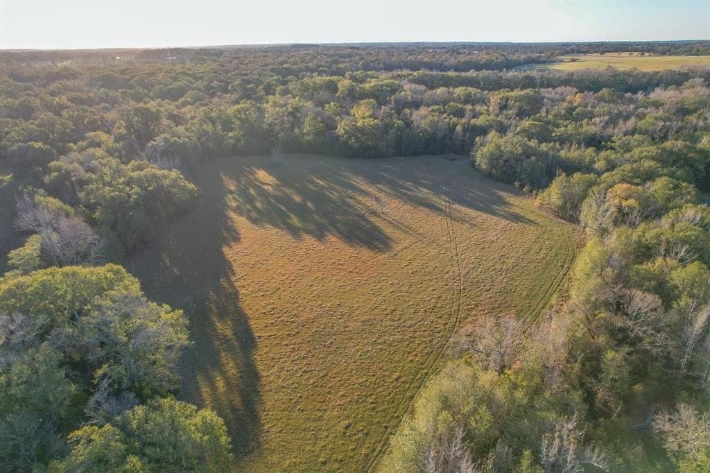 140 acres in Henderson County - photo 7