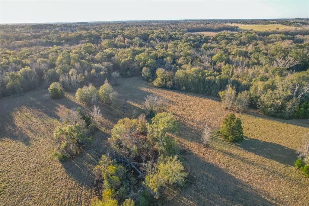 140 acres in Henderson County - photo 8