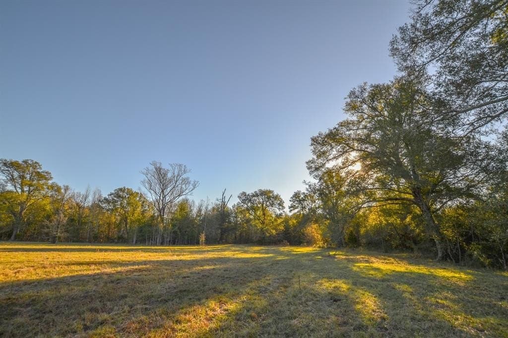 140 acres in Henderson County - photo 37