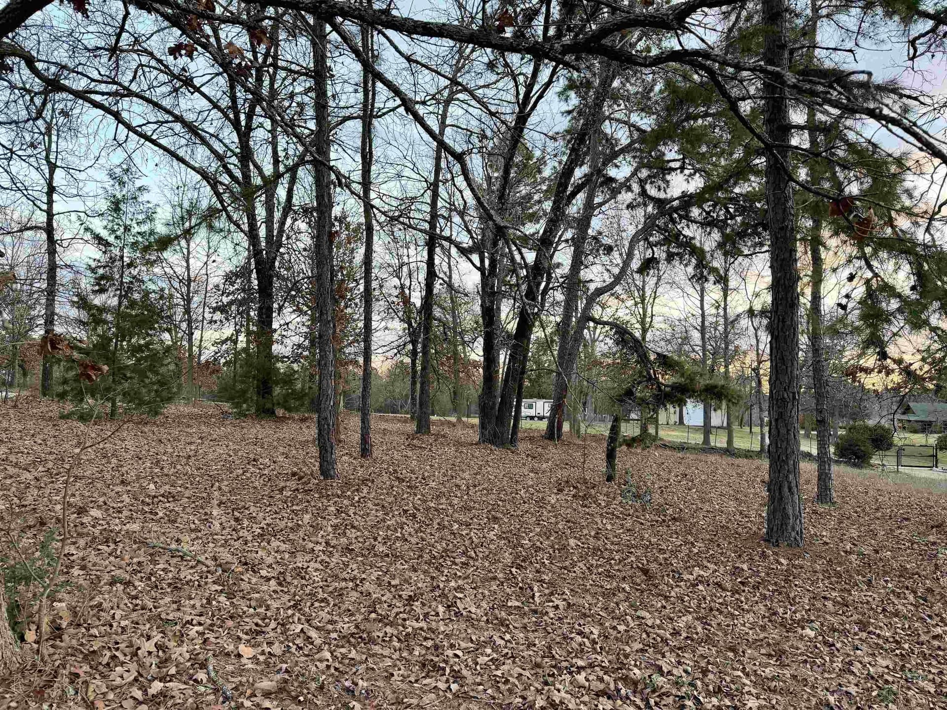 0.43 acres in Upshur County - photo 6