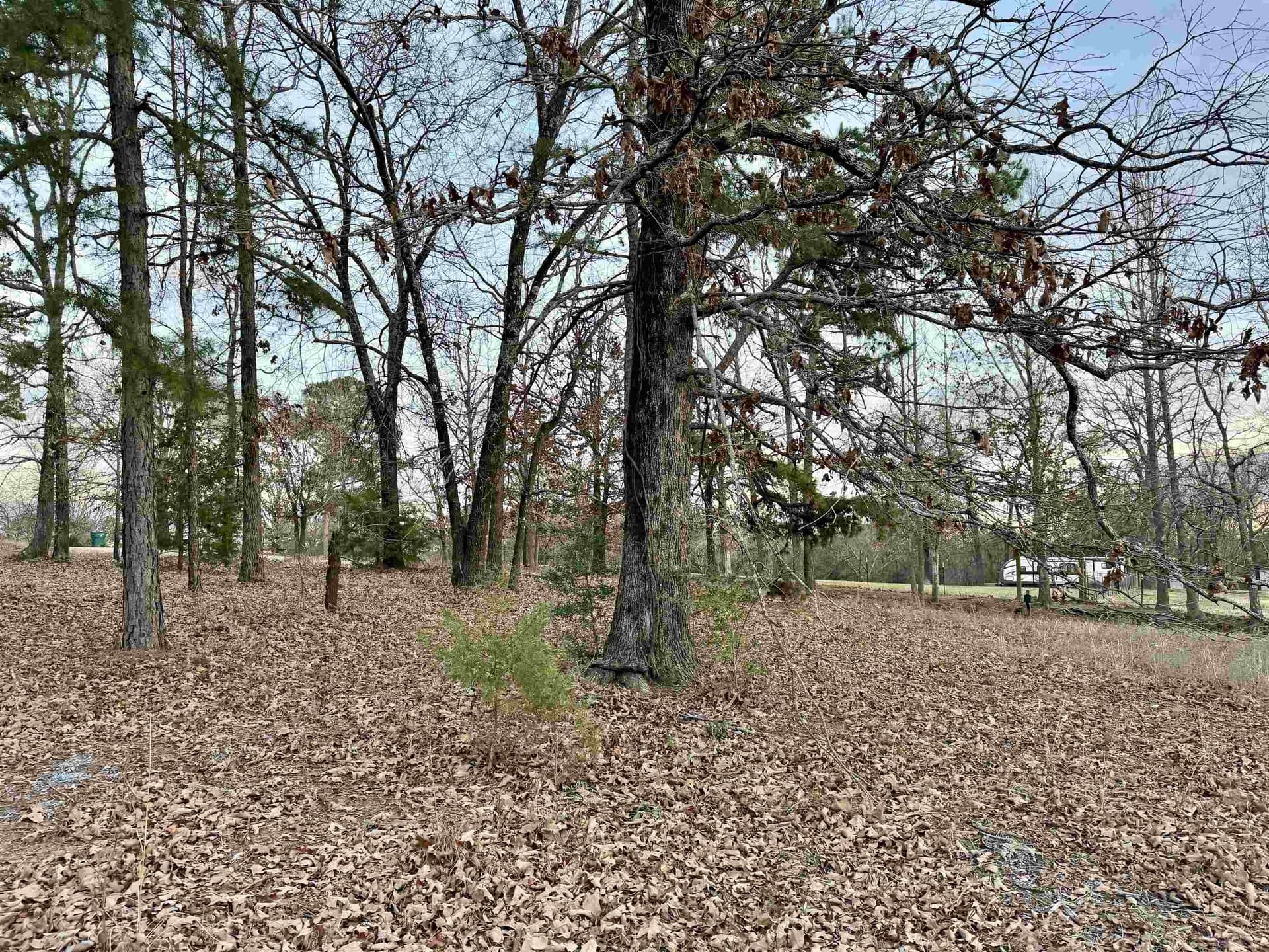 0.43 acres in Upshur County - photo 3