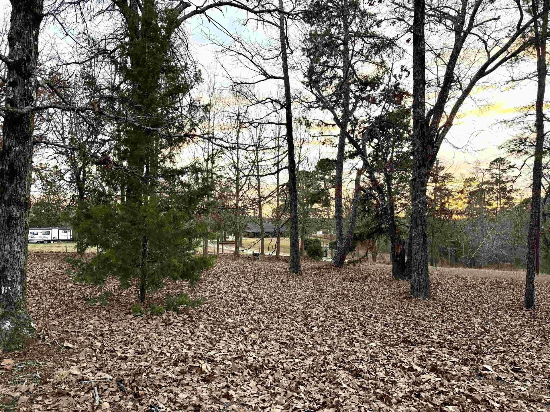 0.43 acres in Upshur County - photo 7