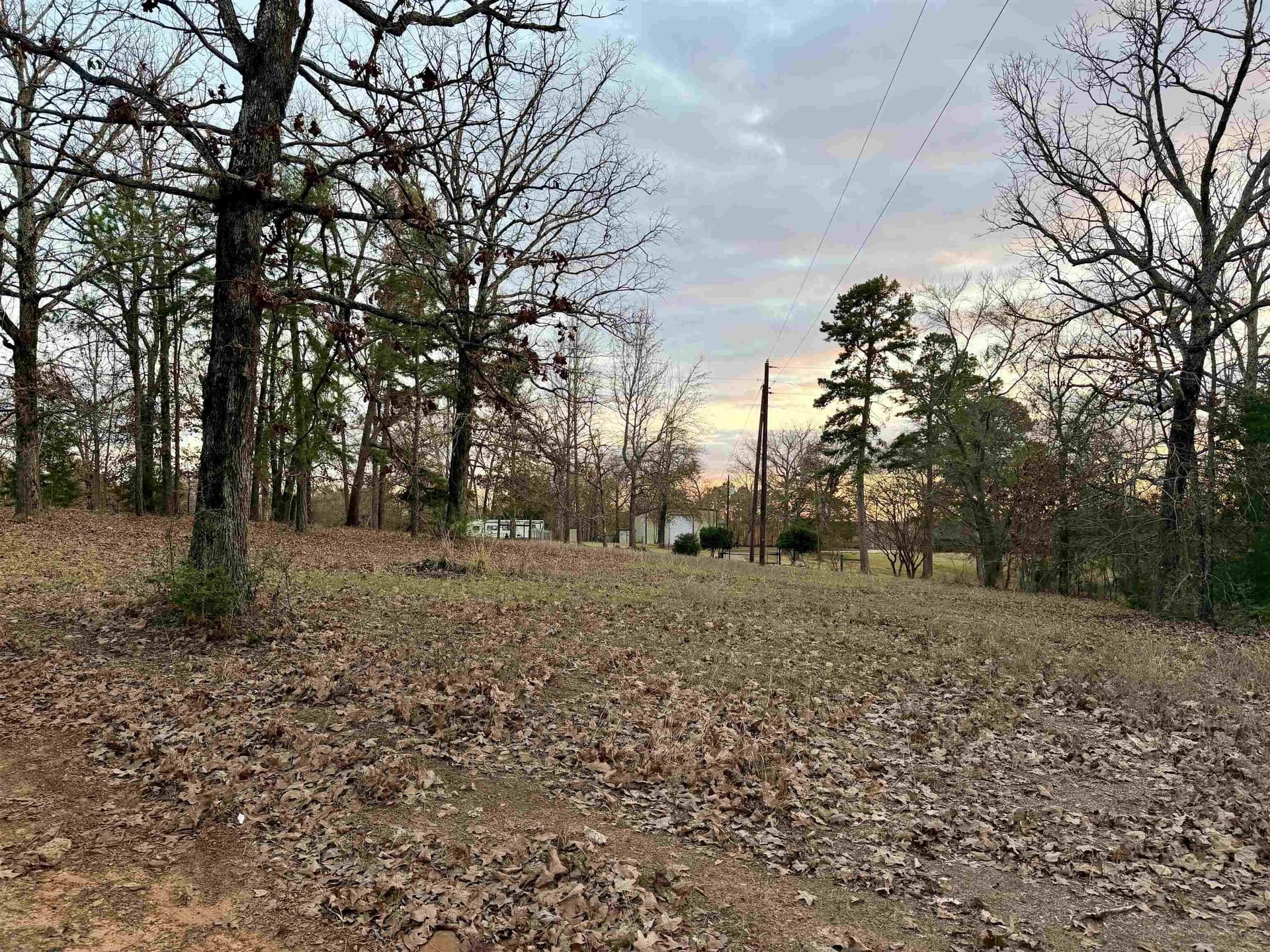 0.43 acres in Upshur County - photo 9