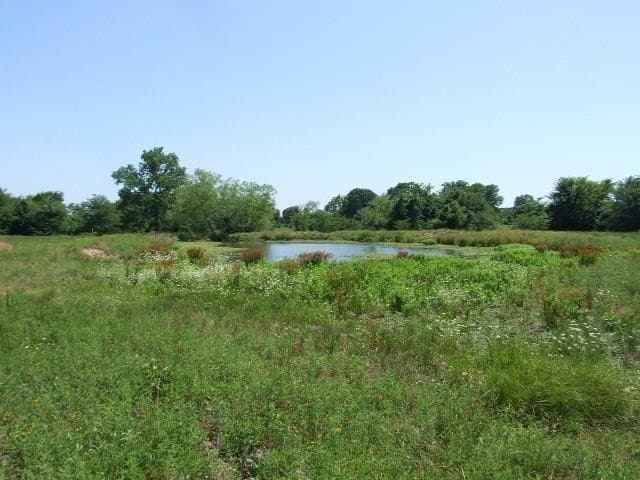 10.55 acres in Kaufman County - photo 7