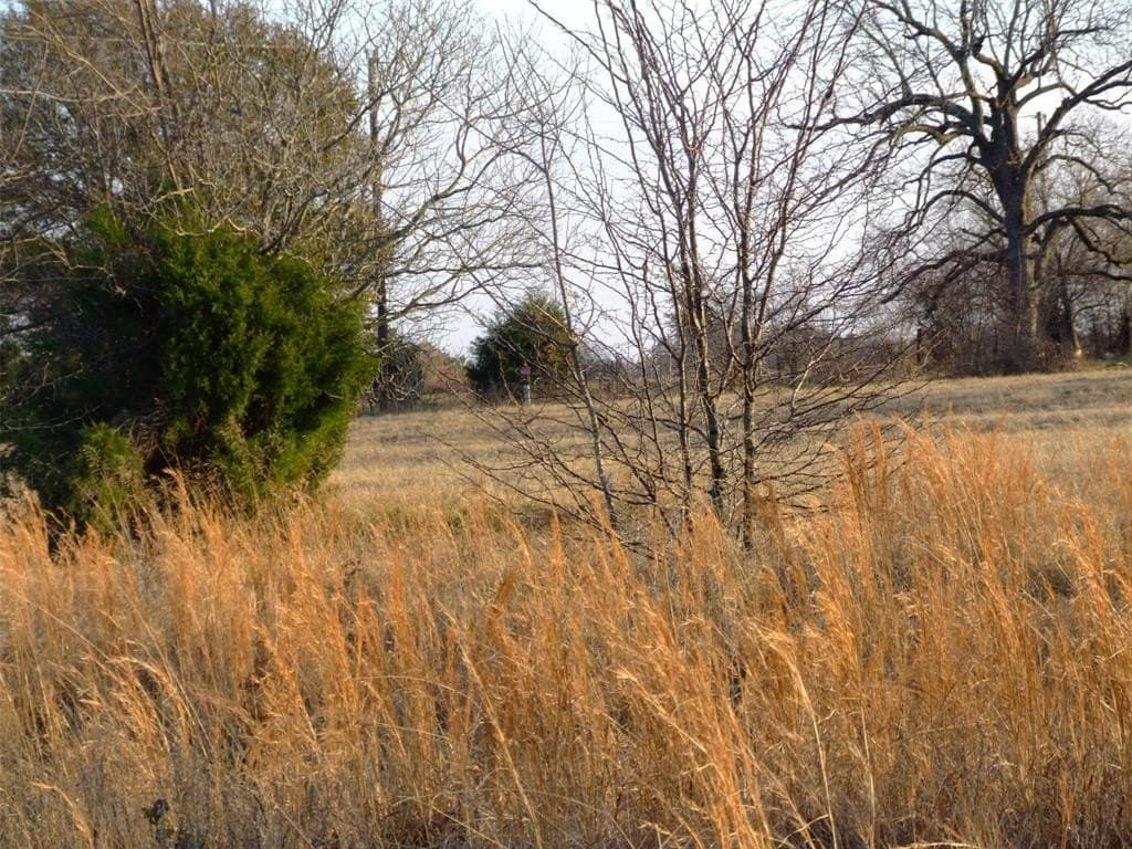 10.55 acres in Kaufman County - photo 14