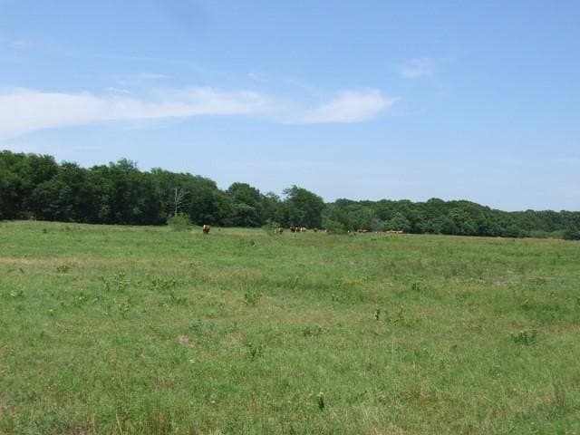 10.55 acres in Kaufman County - photo 6