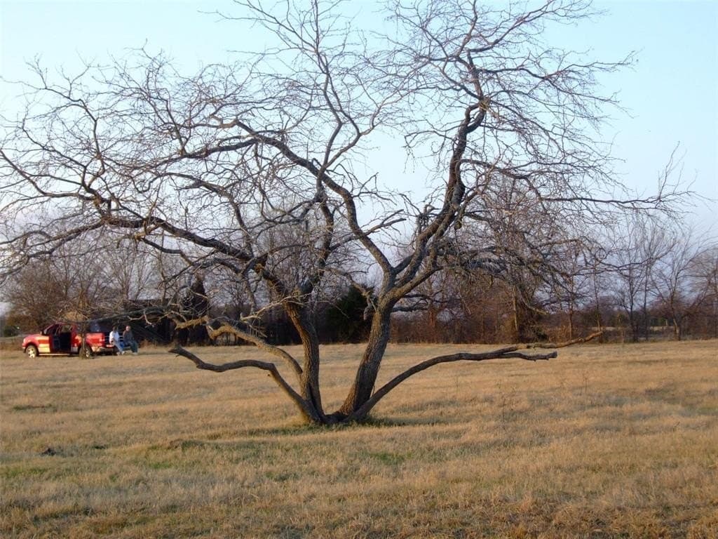 10.55 acres in Kaufman County - photo 19