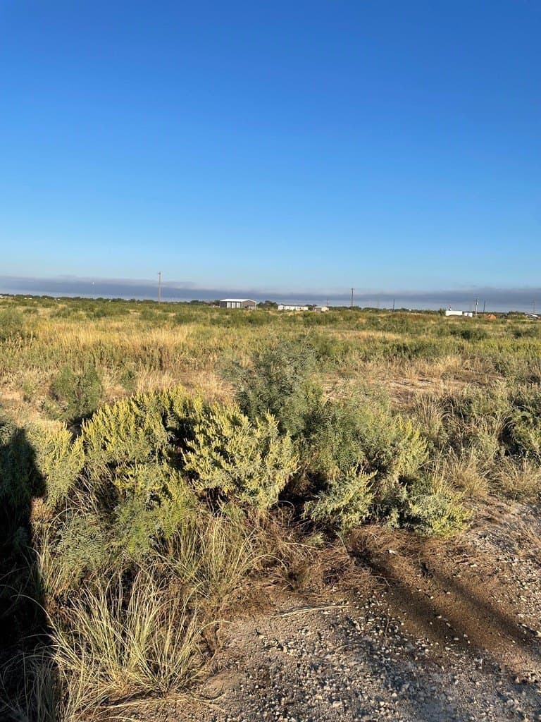 5.64 acres in Tom Green County - photo 14