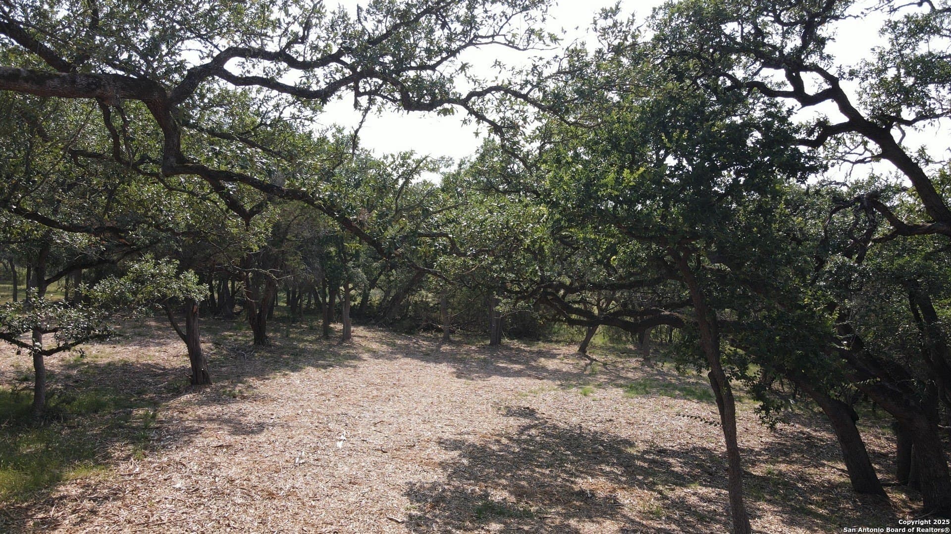1.05 acres in Comal County - photo 9