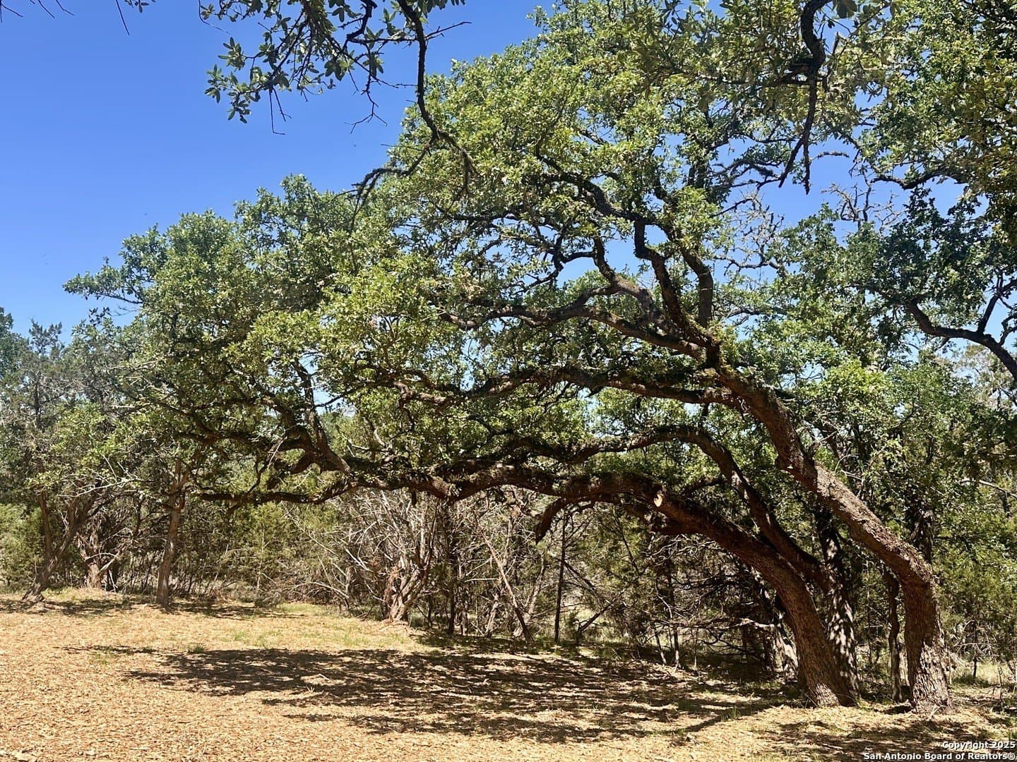 1.05 acres in Comal County - photo 10