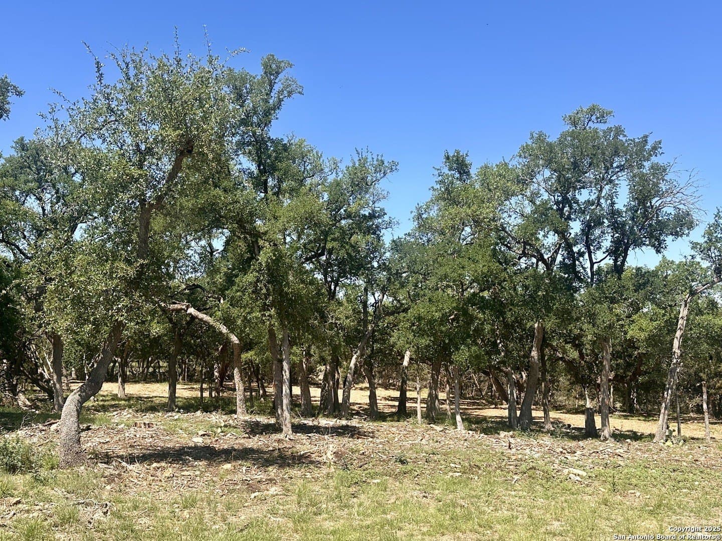 1.05 acres in Comal County - photo 4