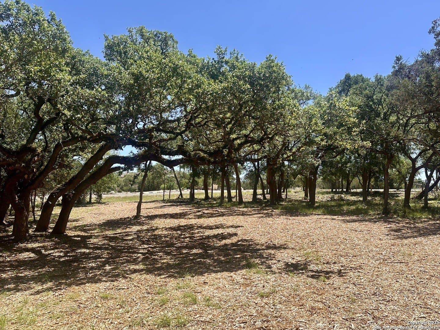 1.05 acres in Comal County - photo 2