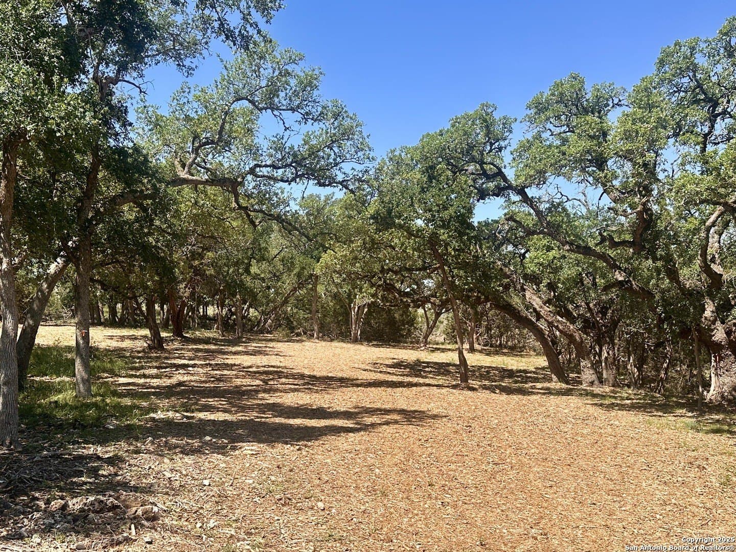 1.05 acres in Comal County - photo 11