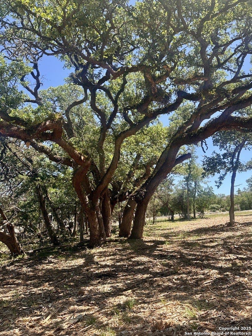 1.05 acres in Comal County - photo 5