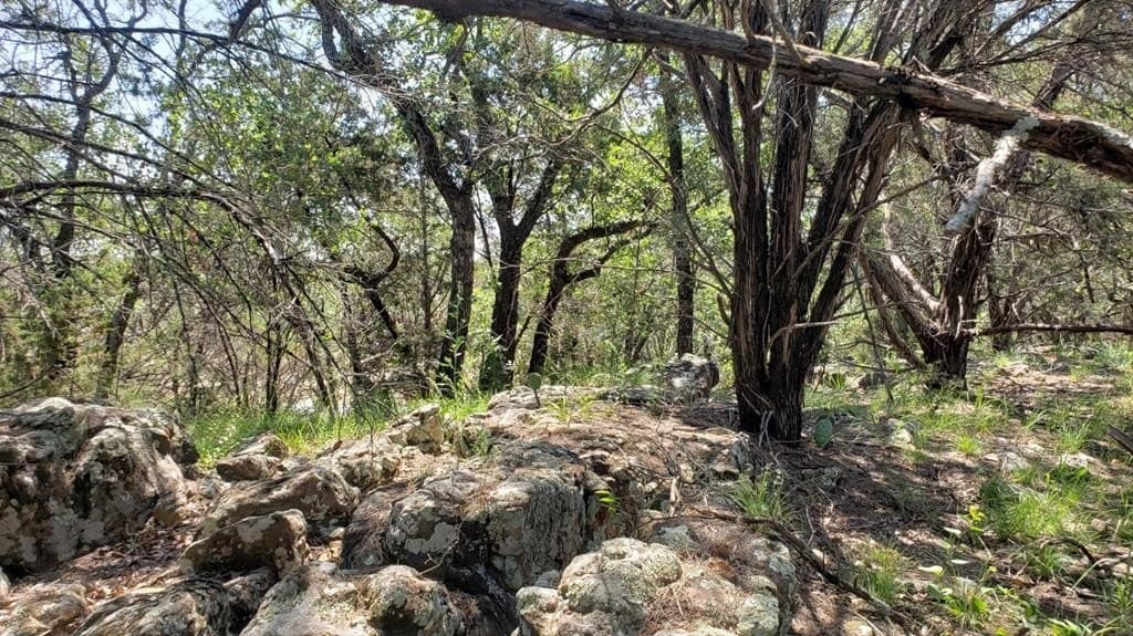 43.54 acres in Palo Pinto County - photo 15