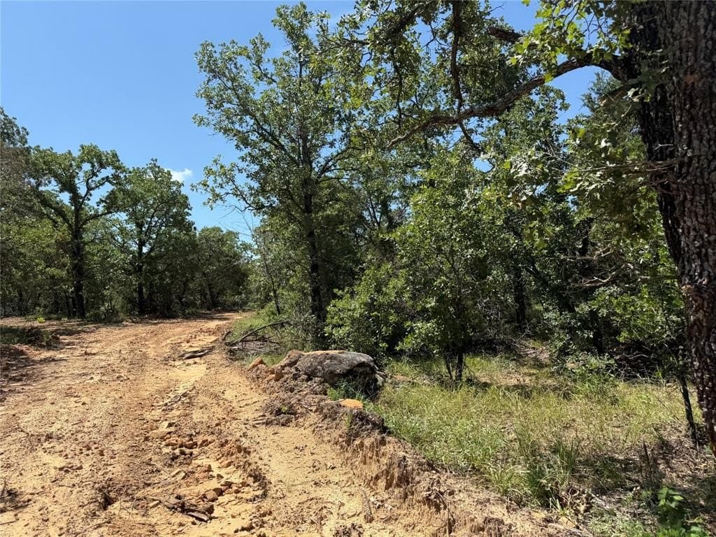 43.54 acres in Palo Pinto County - photo 13