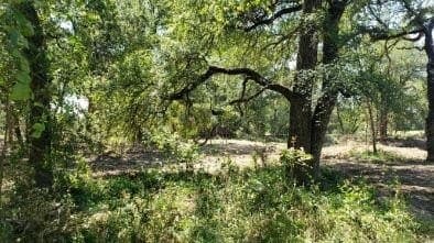 43.54 acres in Palo Pinto County - photo 18