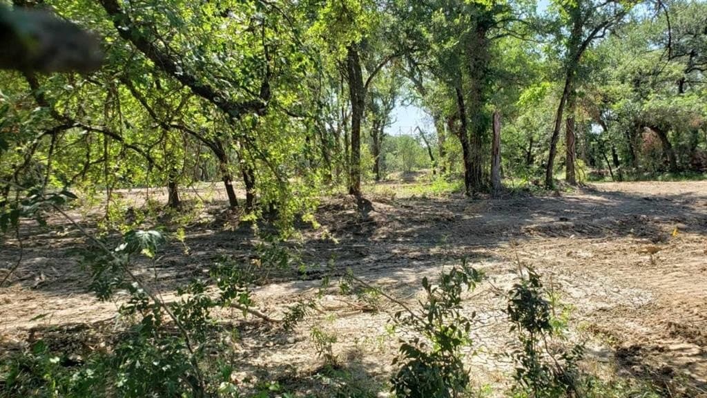 43.54 acres in Palo Pinto County - photo 26