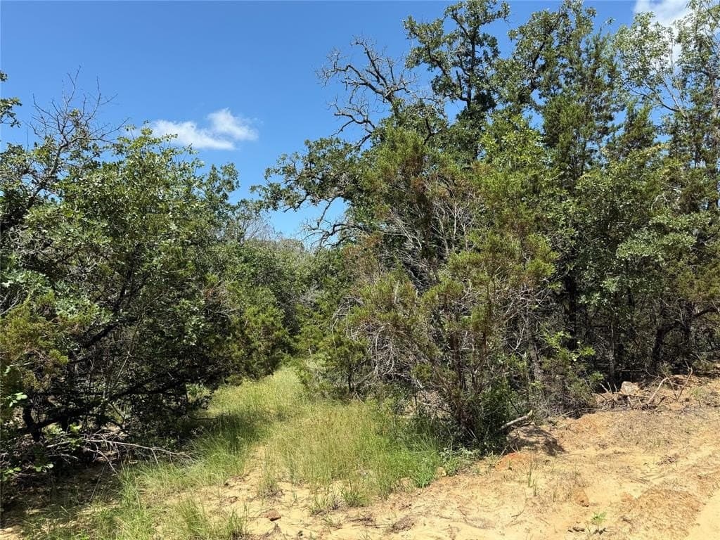 43.54 acres in Palo Pinto County - photo 12