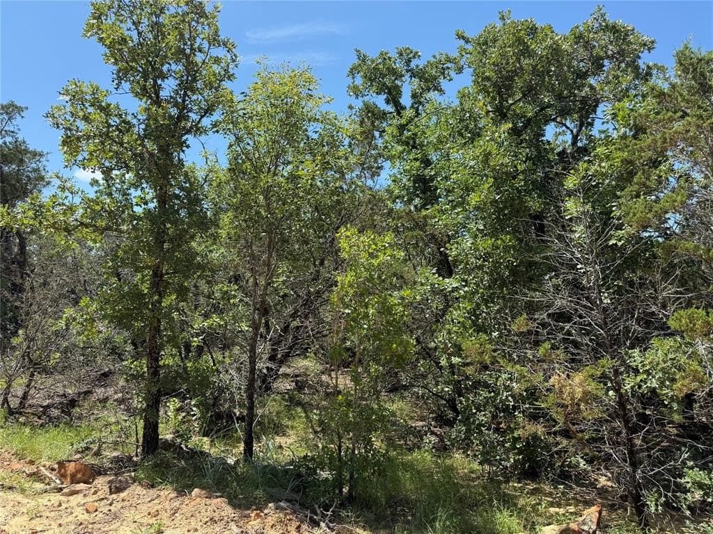 43.54 acres in Palo Pinto County - photo 10