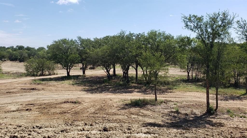 43.54 acres in Palo Pinto County - photo 29