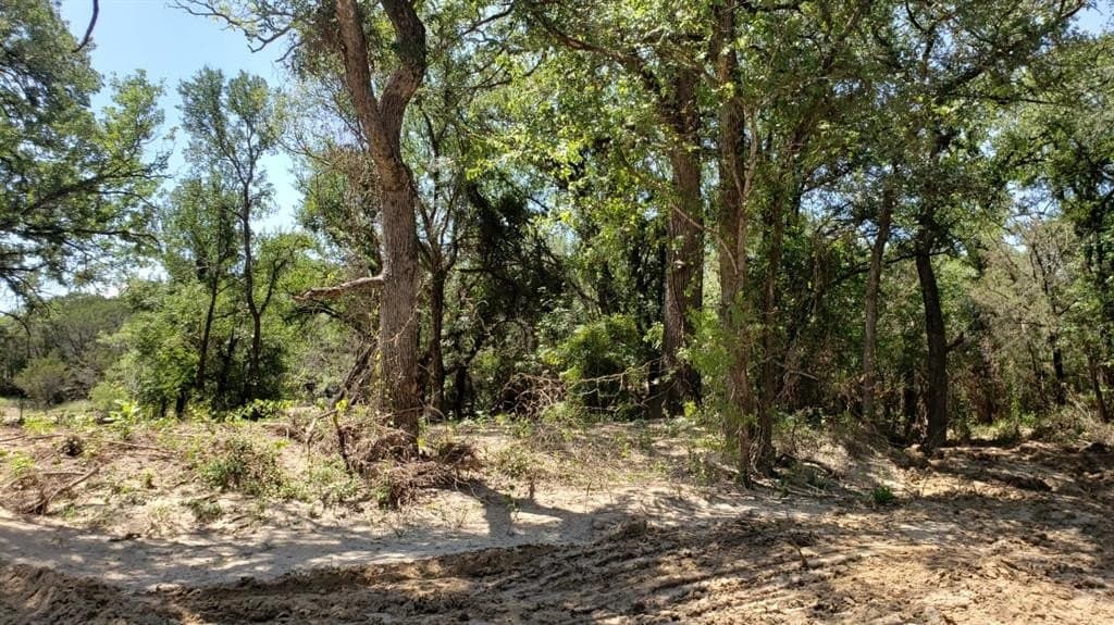 43.54 acres in Palo Pinto County - photo 22
