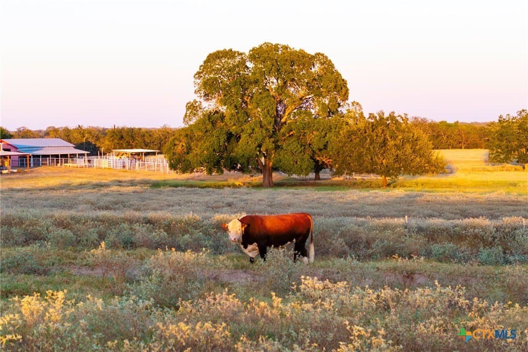 431.62 acres in Guadalupe County - photo 2