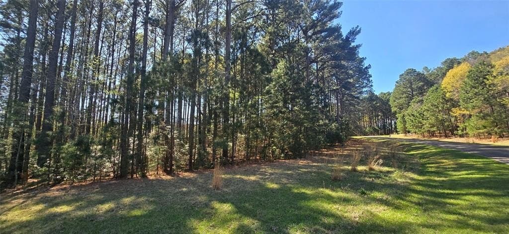 2.02 acres in Henderson County - photo 16