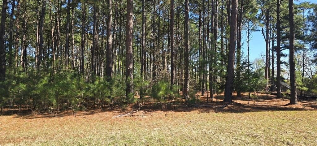 2.02 acres in Henderson County - photo 22